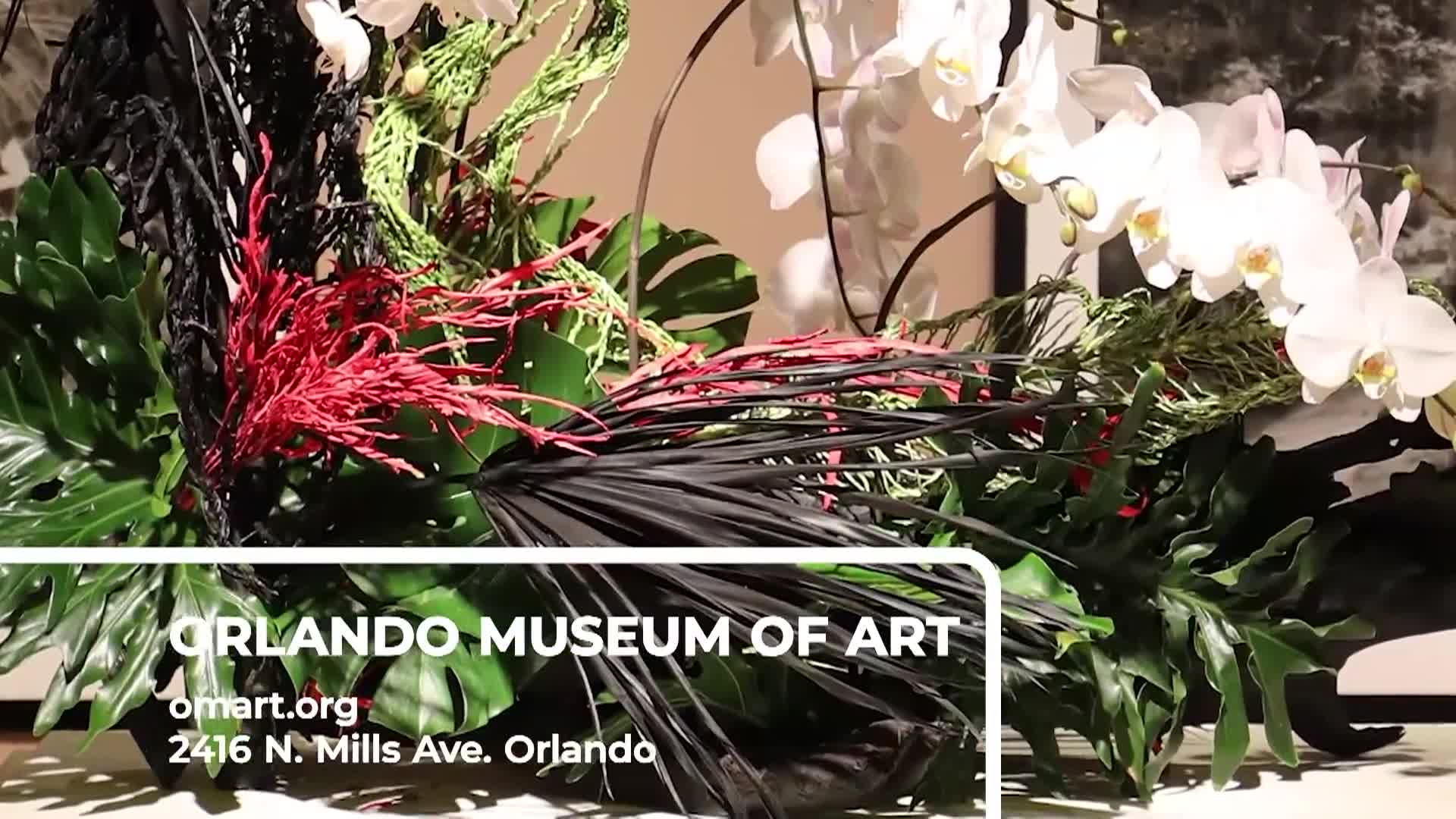 cafe___september_2025_week_two___september_8-14_2025 (1080p)