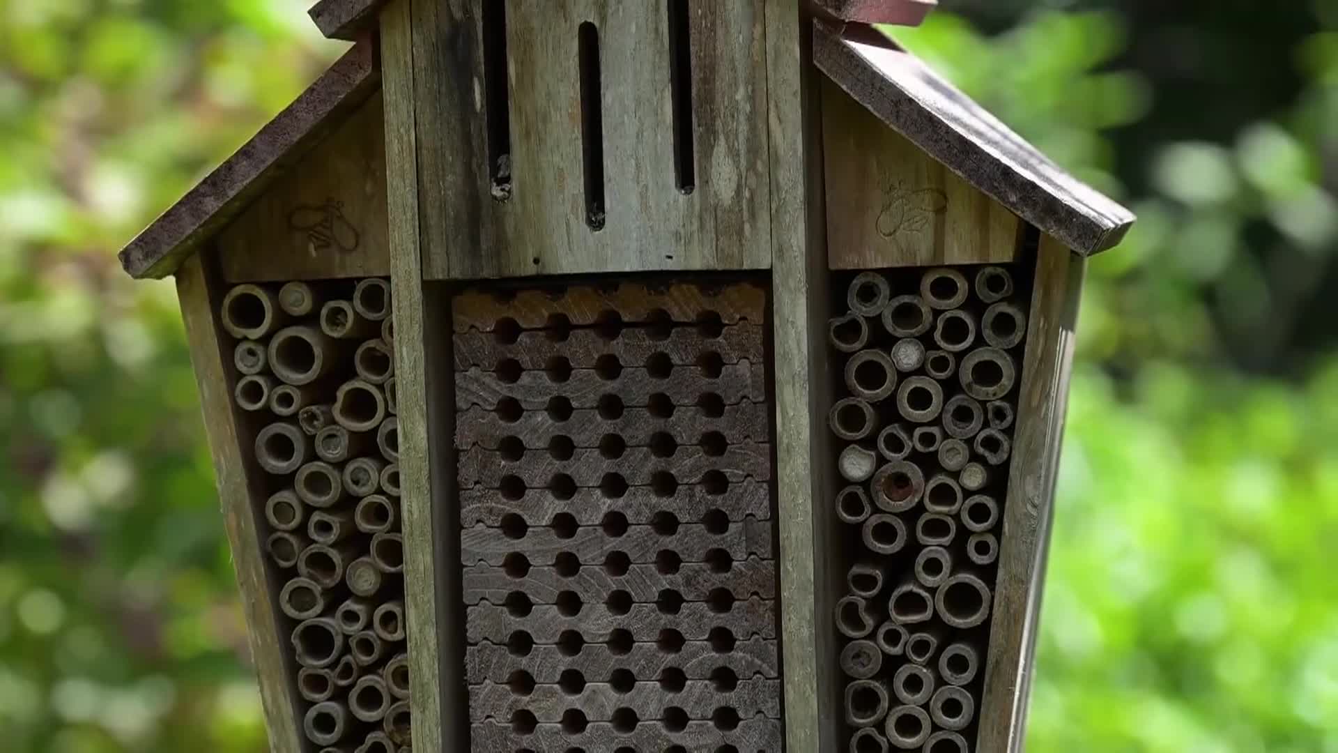 cafe___november_2025_week_three___november_17-23_2025_v1 (1080p)