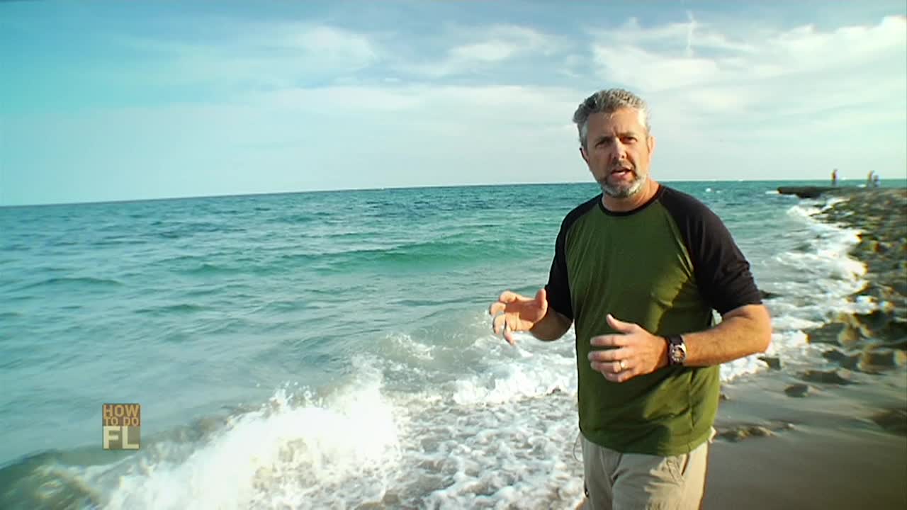 HowToDoFlorida301