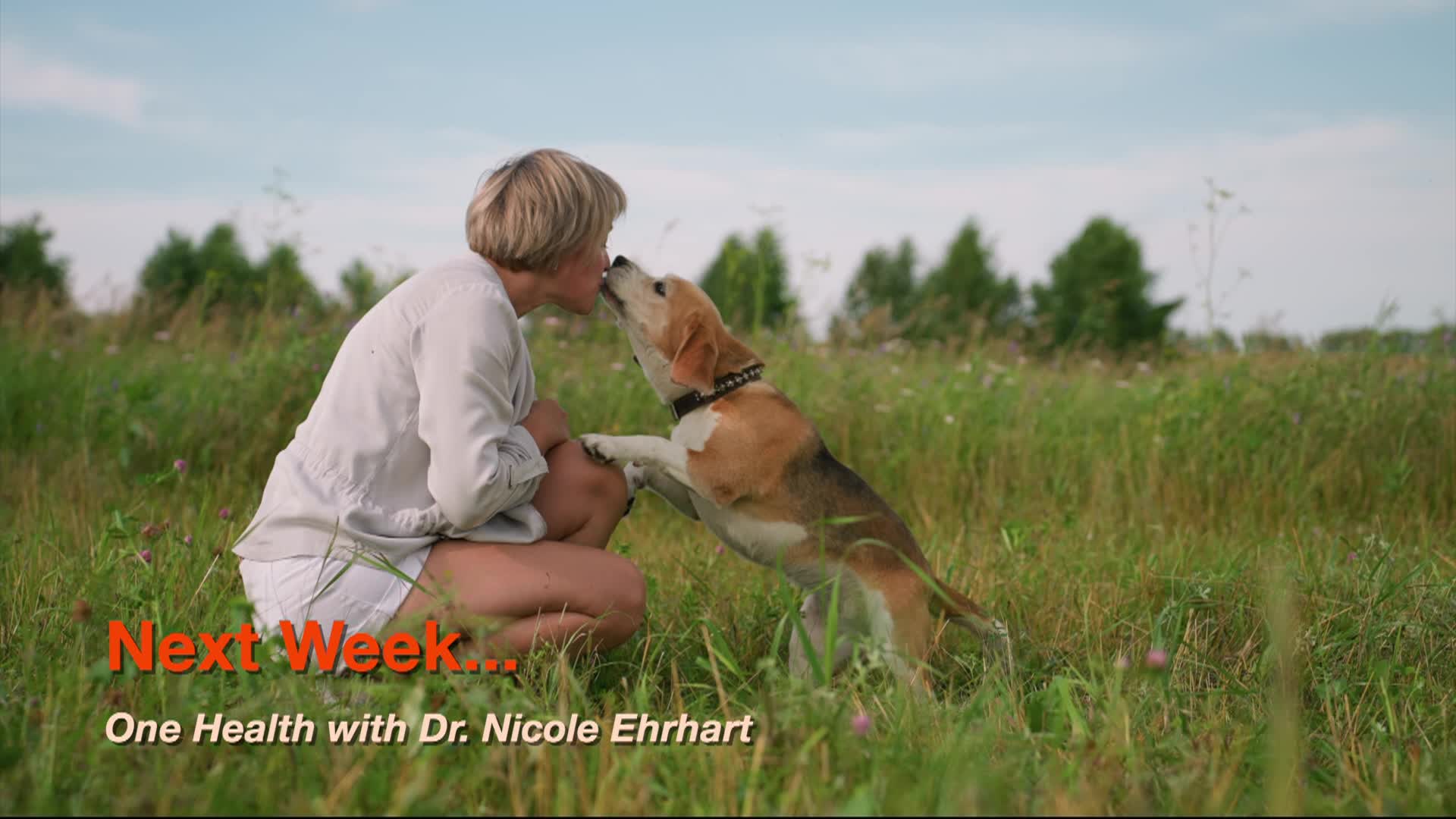 Canine Longevity Promo Episode 104