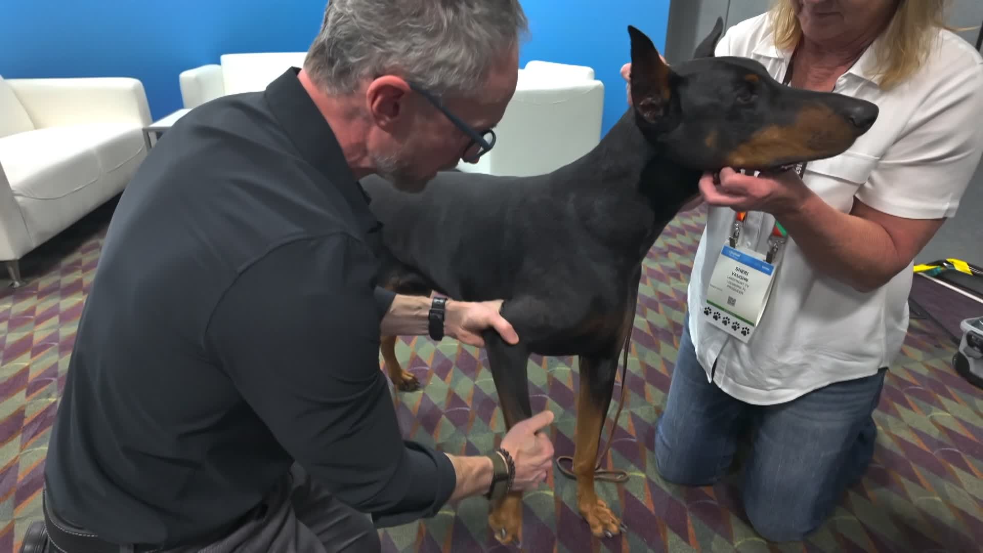 CLPromo2_V3_Saturdays