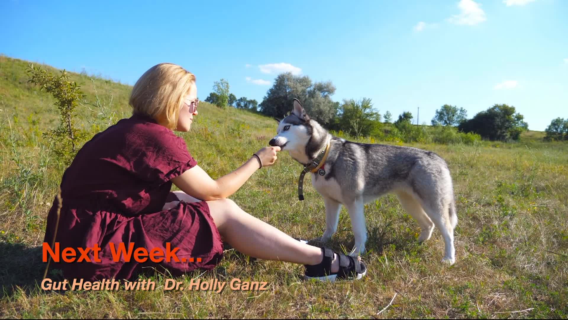 Canine Longevity Teaser Episode 107